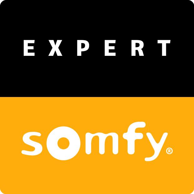 Expert